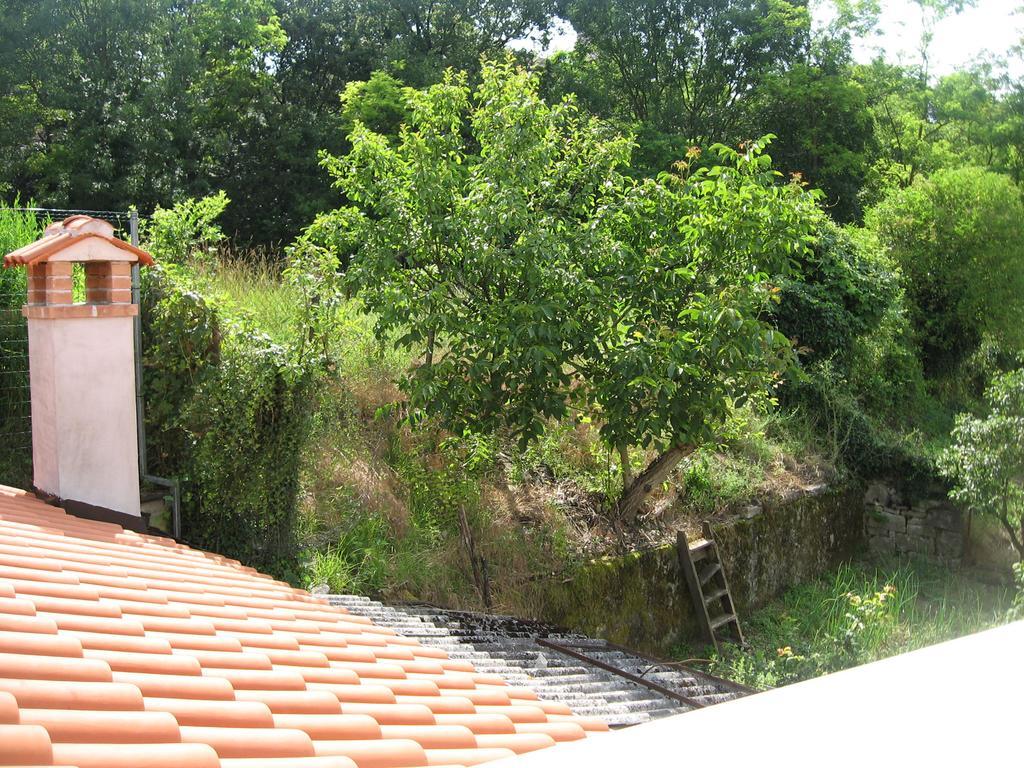 Apartments Alen Pazin Eksteriør bilde